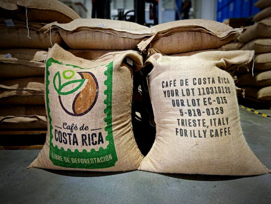 Costa Rica Medium Clearskin