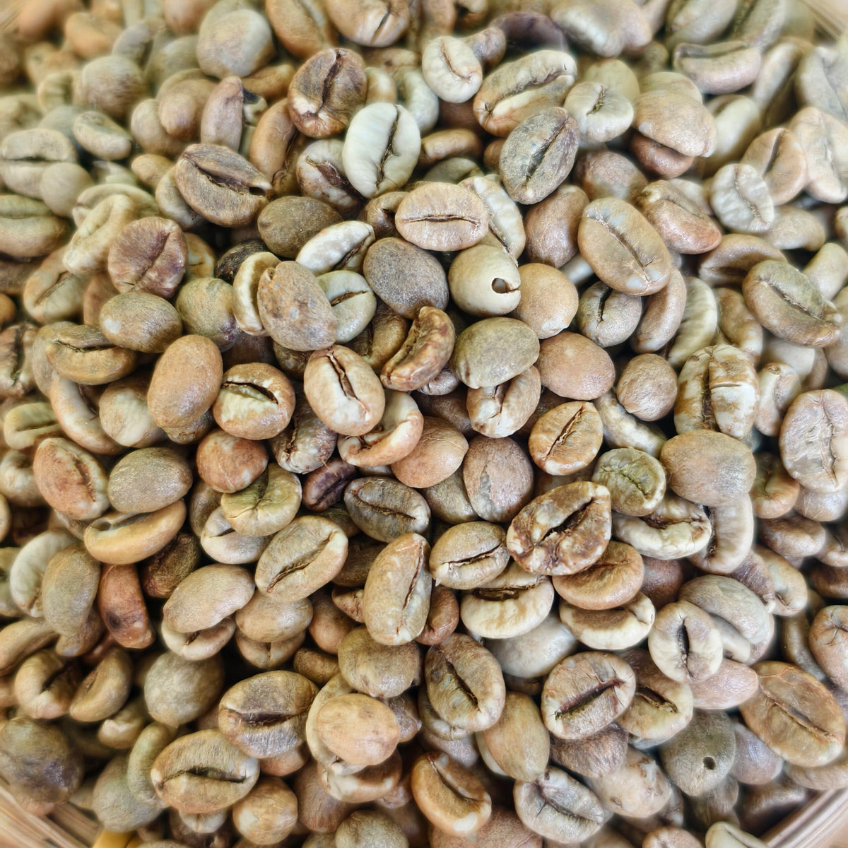 New Specialty Coming Soon